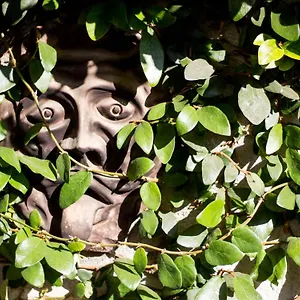  Bed & Breakfast Sopra Al Italy